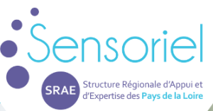 LOGO SRAE
